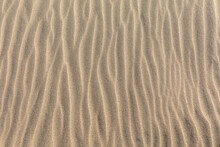 Rippled Sand Dune