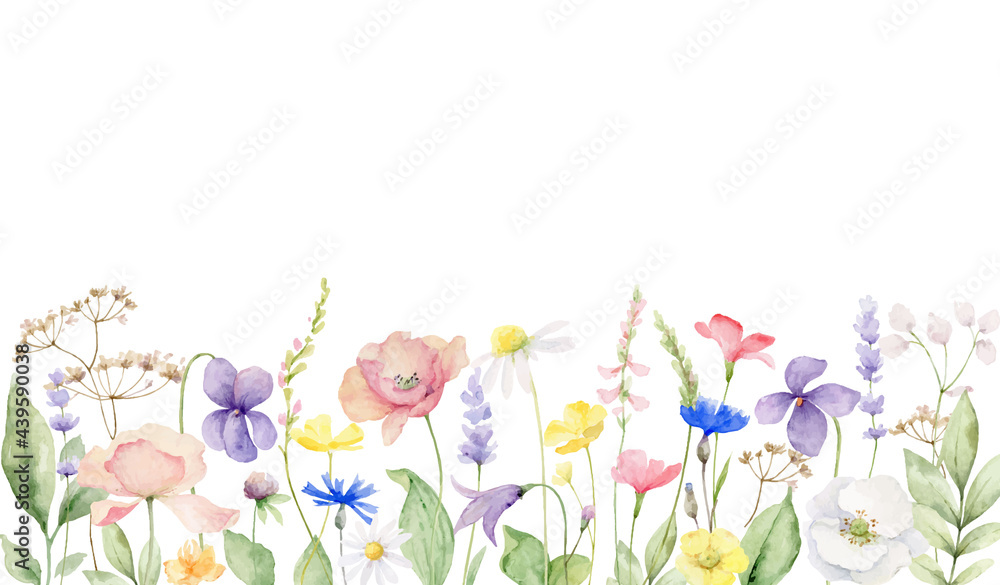 Watercolor vector banner of with wildflower flowers and leaves. - obrazy, fototapety, plakaty 