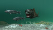 3d illustration of a dunklosteus chasing two eusthenopteron