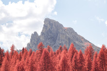 Infrared Mountain Tree Scenery 