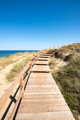 Wall Mural - wooden boardwalk along the dune beach, sylt, schleswig-holstein, germany
