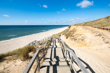 Wall Mural - path to the beach near kampen, sylt, schleswig-holstein, germany