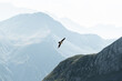 © Roland Kraemer/Stocksy - Mountain Layers Flying Bird