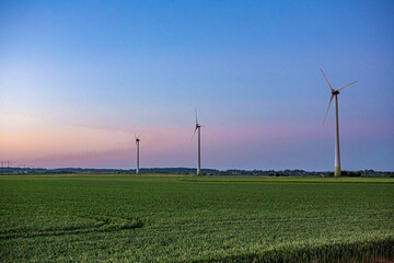 Windmills in the sunset