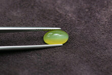 Natural Mined Oval Cabochon Shaped, Polished Lemon Yellow Color Cat's Eye Optical Effect Rare Loose Chrysoberyl Gemstone Setting Holded In Tweezers For Making Unique Jewelry. Brown Leather Background.