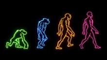 Human Evolution. From A Monkey, Neanderthal, Primate To A Homo Sapiens. Neon Silhouettes Walking. Hand Drawing Animation. Black Background. Loopable.
