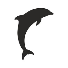 Dolphin Icon. Vector Icon Isolated On White Background.
