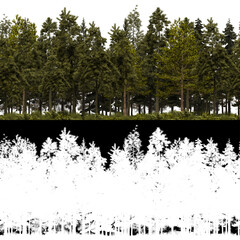 Wall Mural - 3d render of horizon pine trees line in 4k available for loop. tileable. for create infinite nature 