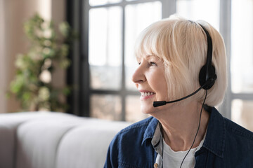 Wall Mural - Elderly old senior businesswoman IT support hot line tele worker on having video call conversation online. Senior teacher lecturer conducting lessons remotely at home