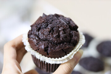 Sticker - Closeup shot of a person's hand holding a deliciously baked chocolate cupcake