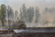 © littleboy72 - Forest fire in the spring forest