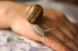 © Zoran Milich/Stocksy - Snail Therapy
