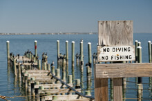No Diving No Fishing Sign On Dock