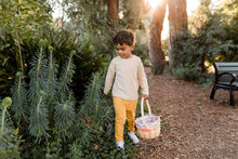 Little Boy Carrying An Easter Basket Looks In The Bushes For Eggs
