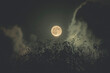 © Sergio Murria/Stocksy - Full moon
