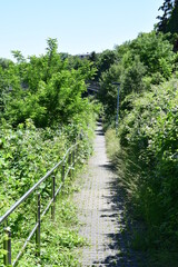 Canvas Print - Weg zum Bahnhof Laubenheim an der Nahe