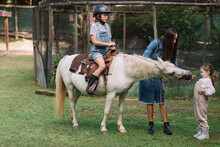 Little Girl Feeding A Horse At Farm 