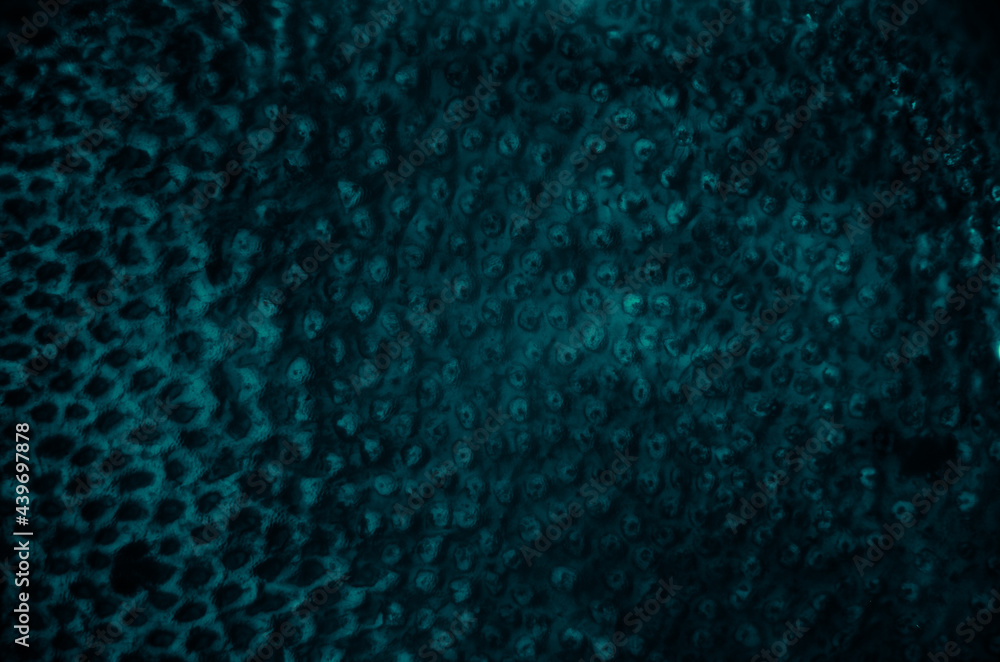 Abstract blue alien texture Stock Photo | Adobe Stock