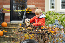 Boy Setting Up Skull Scary Halloween Decorations In Front Yard For Trick Or Treat