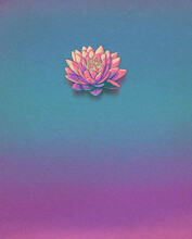 Lotus Flower Minimalist Illustration