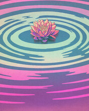 Lotus Flower And Water Ripples