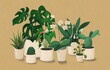© kkgas/Stocksy - Group of popular houseplants
