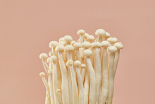 Seafood Mushrooms On Beige Background