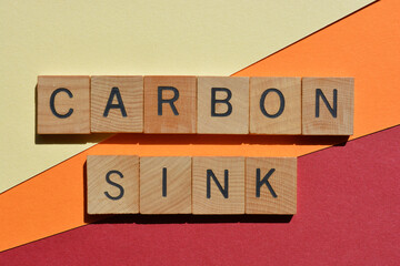 Canvas Print - Carbon Sink, words in wood alphabet letters.