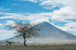 The Ol Doinyo Lengai Volcano In Tanzania