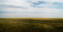 Pastel Grasslands On The Prairies.