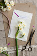 © Laura Stolfi/Stocksy - Papers and flowers with name label
