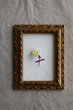 © Laura Stolfi/Stocksy - One single flower in a frame