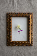 One Single Flower In A Frame