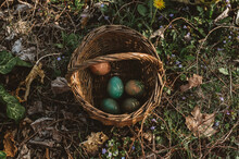 Easter Egg Basket On A Grass