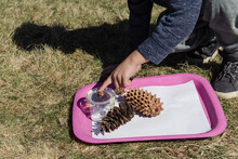Little Boy Pointing At The Pinecone On A Tray Outside