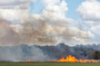 © Paul Tessier/Stocksy - Prescribed Burn