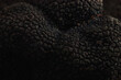 © Dejan Beokovic/Stocksy - Black Truffle.