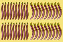 Long Japanese Eggplants