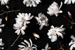 © Mariela Naplatanova/Stocksy - Star Magnolia Flowers