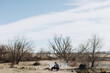 © Leah Flores/Stocksy - Farmer Sitting with Dog in Countryside