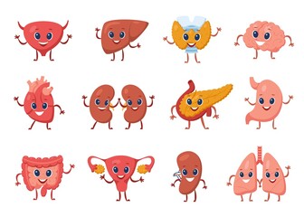 Cute internal organ with funny faces. Heart, stomach, liver, kidney, lung, brain, bladder, uterus. Cartoon healthy human organs vector set. Physiology health education for children