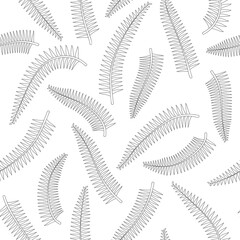 Wall Mural - Tropical fern leaves gray outline drawing seamless pattern. White background. Jungle foliage line art texture. Stock vector illustration.