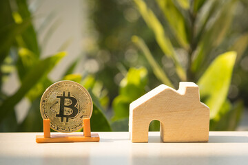 Business Bitcoin coins with natural bokeh