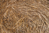 Fototapeta  - Background Of Straw Bale On Field Close Up.