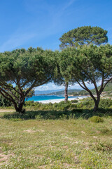 Canvas Print - Corse du sud, France