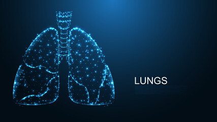 Lungs of human anatomy structure line connection. Low poly wireframe design. Abstract geometric background. vector illustration.