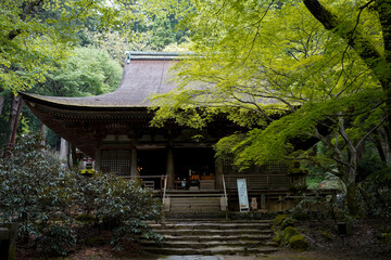 Sticker - Murouji Temple in Nara.