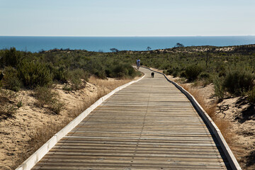 Sticker - Hombre con su perro andando por pasarela de madera para ir a la playa de Cuesta Maneli, Huelva.