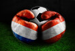 Netherlands vs Austria Football Poster