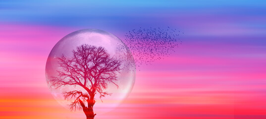 Aufkleber - Lone tree with moon at it largest also called supermoon 